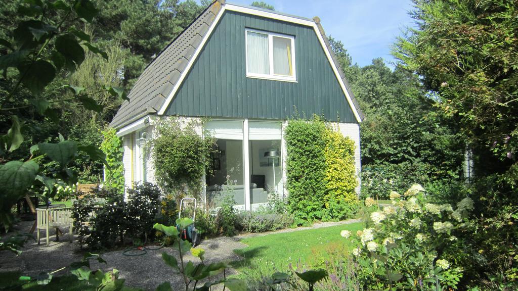 Bungalows - Bungalowpark Mooyeveld - Uniek Gelegen In De Duinen! Egmond-Binnen Exterior foto